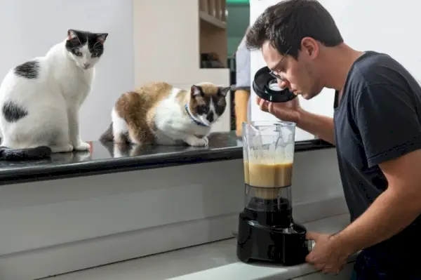 Hombre preparando comida para gatos mezclada para dos