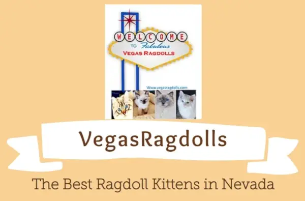 Logo Vegas Ragdolls