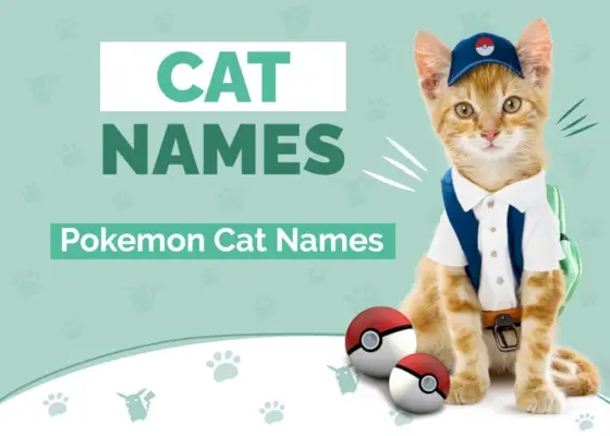 150 nomi di gatti Pokémon: le nostre migliori scelte per il tuo gatto adorabile e giocoso