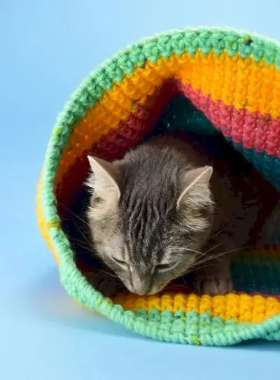 Crochet Cat Sack Hideaway