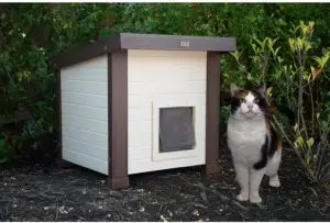 macska mellett New Age Pet ecoFLEX Albany Outdoor Feral Cat