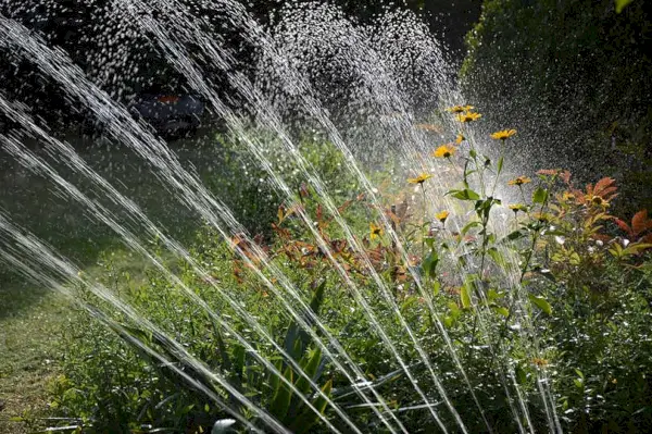 Gartenwassersprinkler in der Nähe eines Blumenbeets