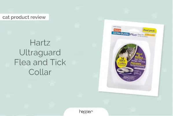 Hartz Ultraguard Flea and Tick Collar