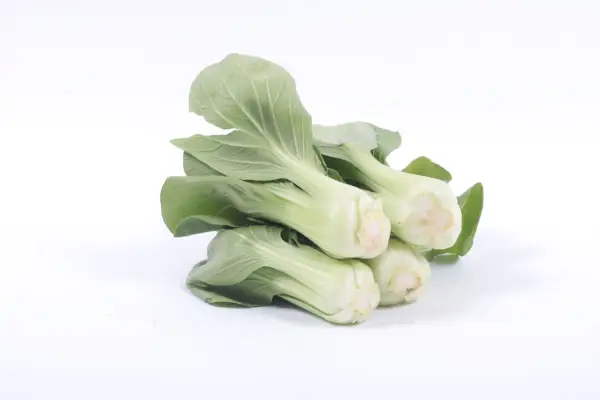 Bok Choy