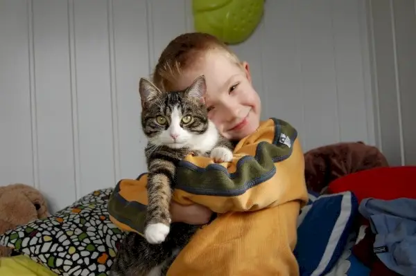 garotinho abraçando seu gato