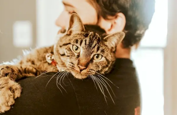 homem abraçando um gato malhado