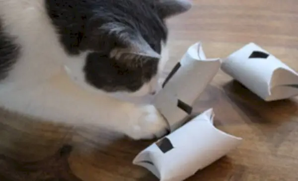 Alimentador de rompecabezas con rollo de papel higiénico felino DIY