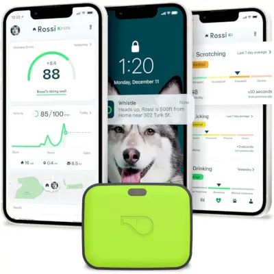 Whistle Pet Health & Location Tracker