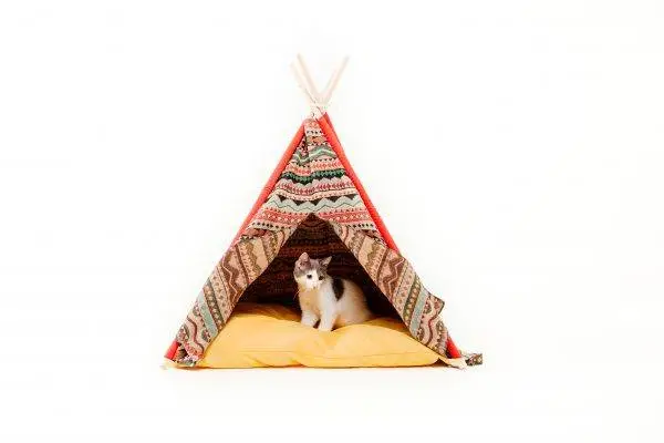 DIY stijlvolle tipi voor honden of katten