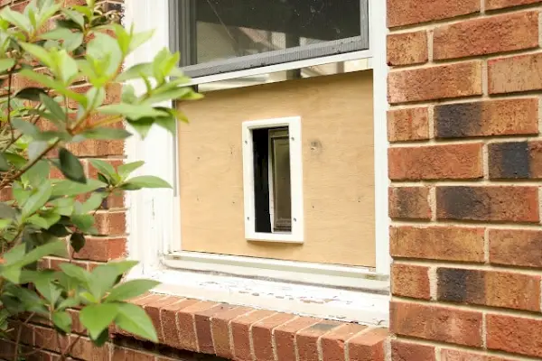 Porte pour chat bricolage dans le mur