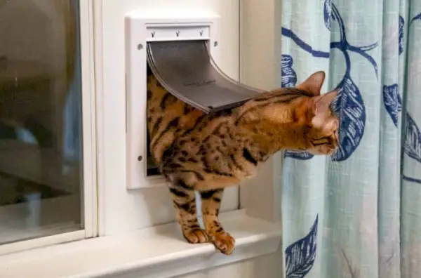 Insert de porte pour chat bricolage pour une fenêtre coulissante horizontale