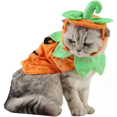 Haustier-Kürbis-Kostüm für Katzen und kleine Hunde, Party, Halloween, Cosplay, freie Größe, Orange