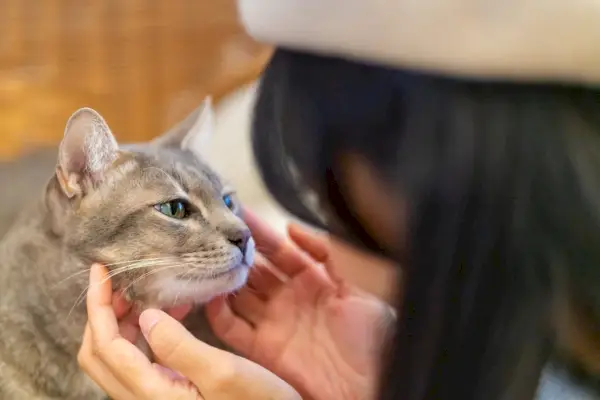 Junge Frau sitzt auf dem Boden und streichelt das Gesicht der Katze