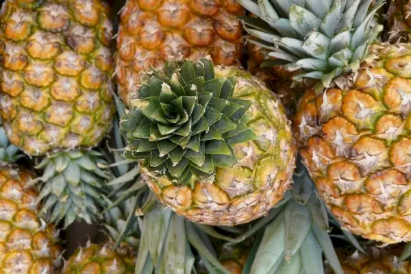 ananas