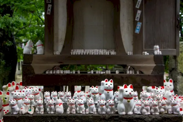 Maneki-Neko arba japonų pinigų katė Gotokuji šventykloje