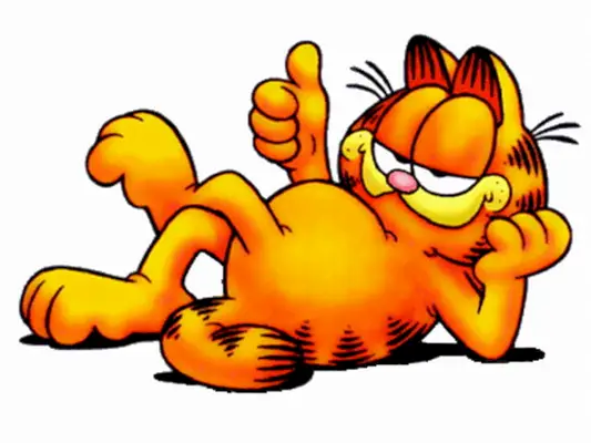 Che tipo di gatto è Garfield? Rivelate le razze di gatti più famose