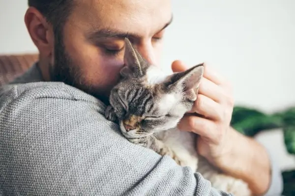 Glückliche Katze mit geschlossenen Augen umarmt Besitzer