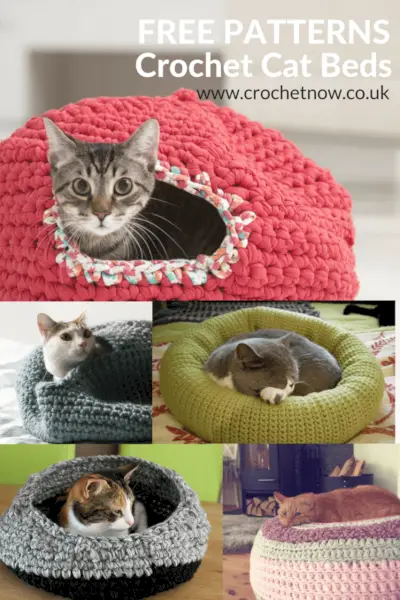 9 DIY-kartonnen kattenbedplannen die u vandaag kunt maken (goedgekeurd door dierenartsen)