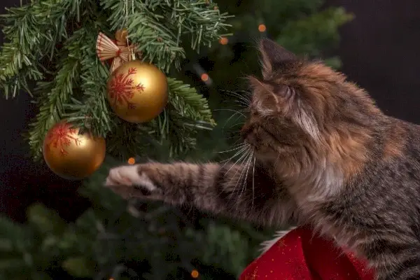 gato brincando com enfeites de árvore de natal