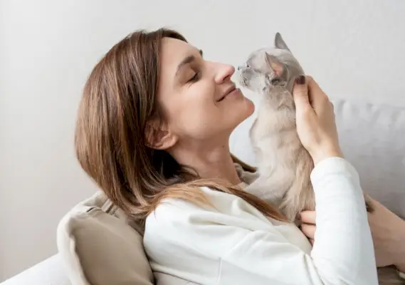 lila burmesisk katt som kysser kvinnans näsa