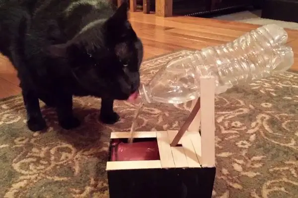 DIY Cat Water Fountain