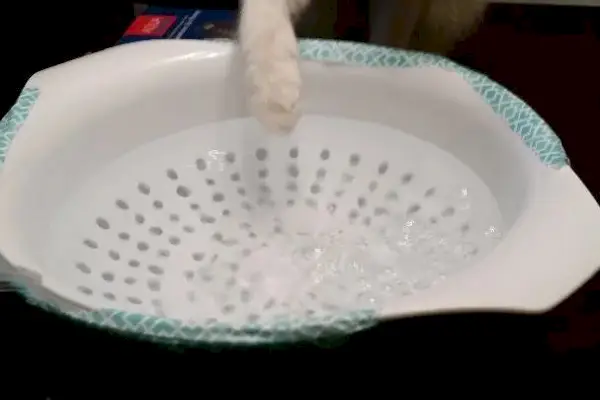 Pet Boble Fountain