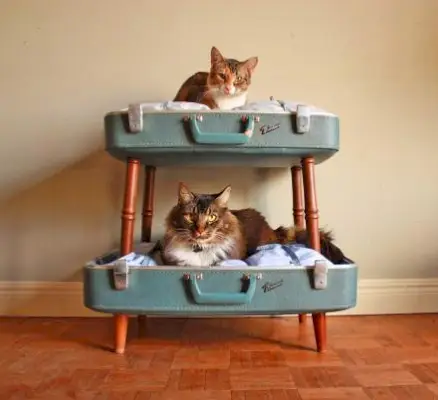 Kovček Cat Bunk Bed - Oddity mall