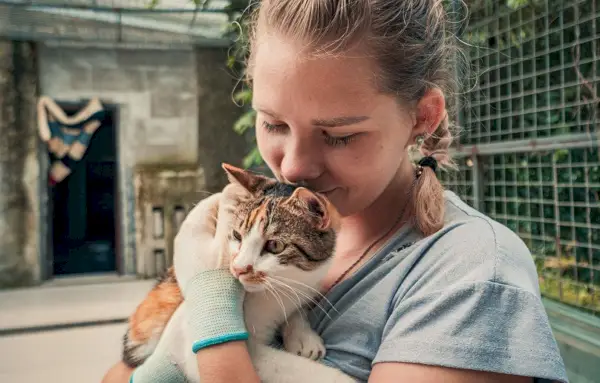 katt och kvinnlig volontär