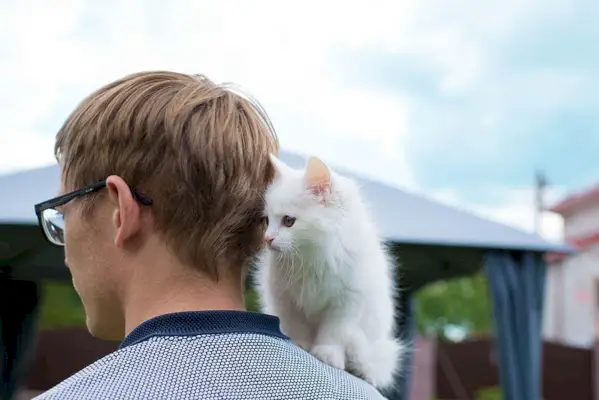 人間の中の猫