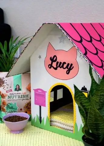 DIY Katzenhaus aus Pappe