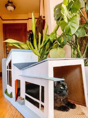 DIY, wie man ein Katzenhaus aus Pappe baut