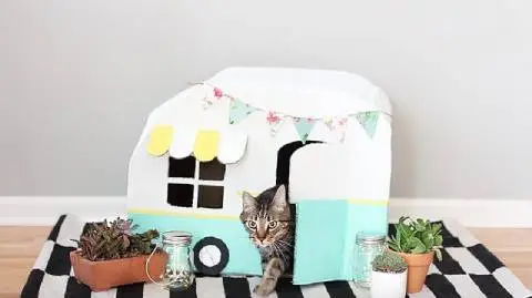 DIY Vintage Kitty Camper