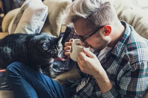 88 noms de café pour chats : nos meilleurs choix pour votre chat alimenté à la caféine