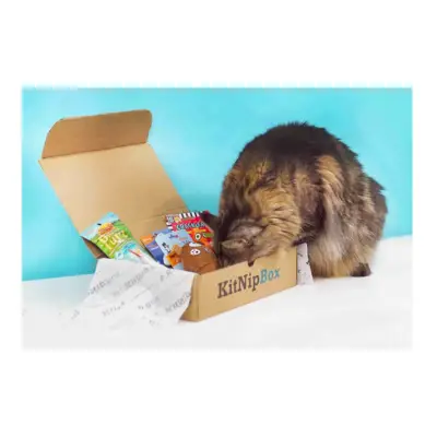 KitNipBox