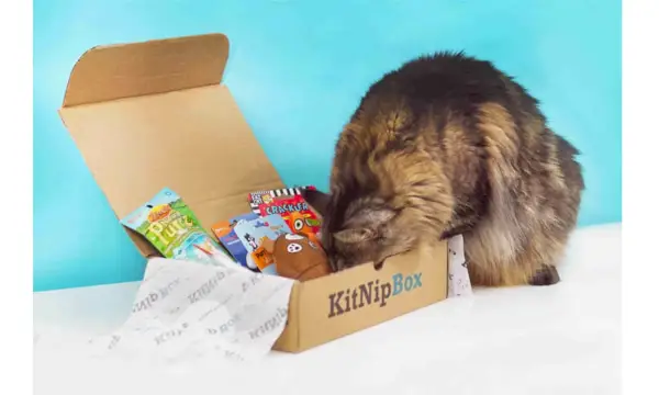 KitNipBox