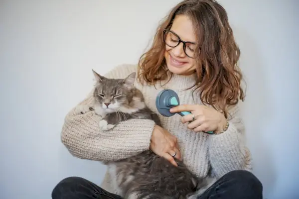 ペットの猫の毛をブラッシングする女性