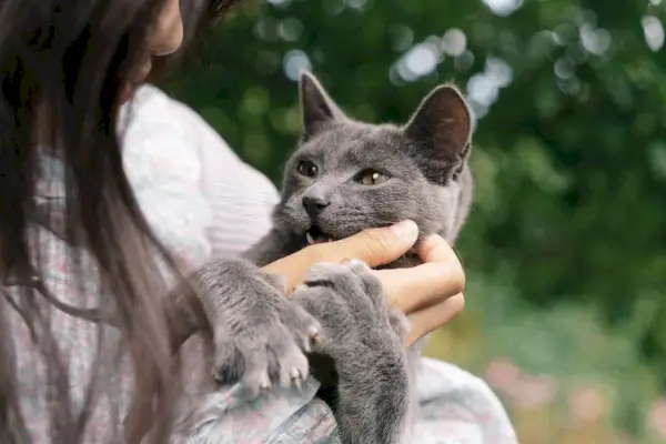 Jeune femme grattant le menton du chat