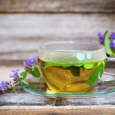 té de hierba gatera fresco en una taza de vidrio