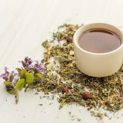 té de hierba gatera con flores de melisa y hierba gatera seca