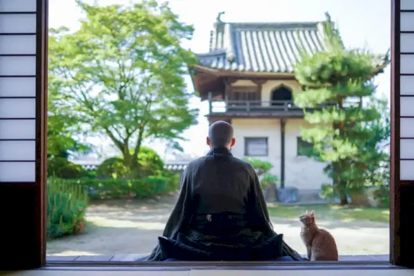 Kde jsou kočky k vidění v japonské kultuře? Historie a populární plemena