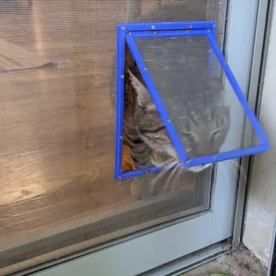 DIY Katzentür für Fenster