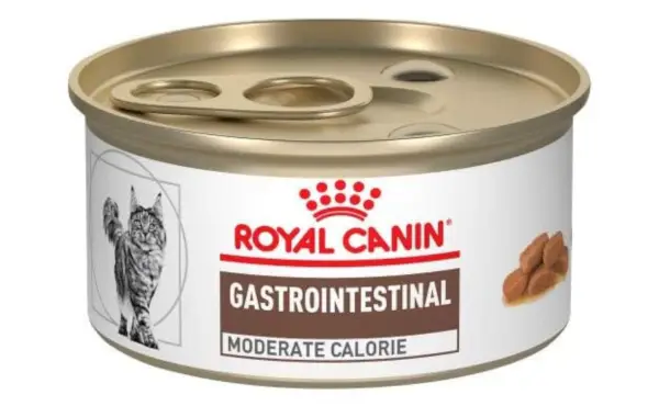 Royal Canin Vet Diet Hrană gastrointestinală pentru pisici