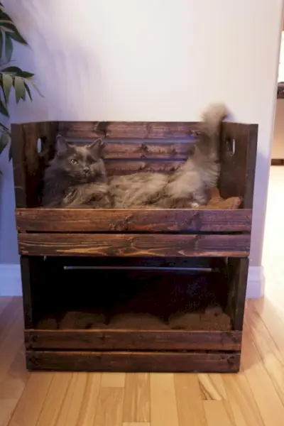 DIY Crate divstāvu gulta kaķiem — mans vethosp