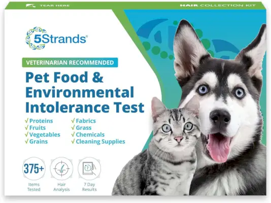 Tests d'intolérance alimentaire et tests d'allergie à 5 brins pour chiens, chats et chevaux