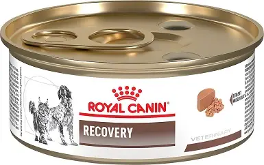 Royal Canin Veterinary Diet Recovery