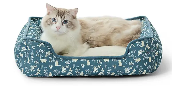 Whisker City® Blau bedrucktes Kuschelkatzenbett