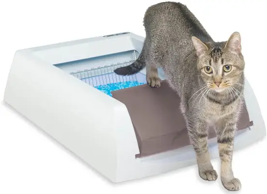 PetSafe ScoopFree zelfreinigende kattenbak