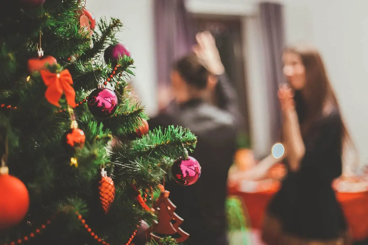 Christmas visitors