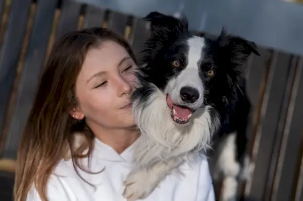 border-collie-abraçades-propietari-nena