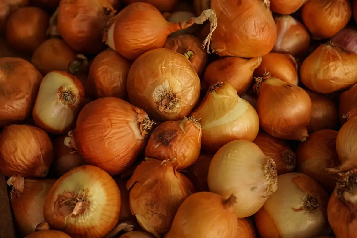 Onions and garlic